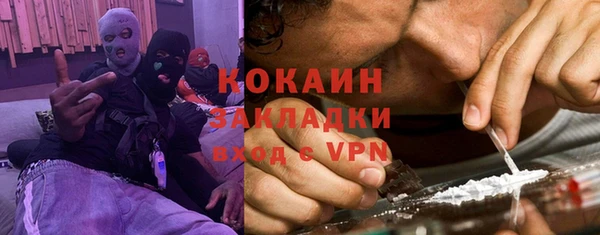 сатива Арсеньев