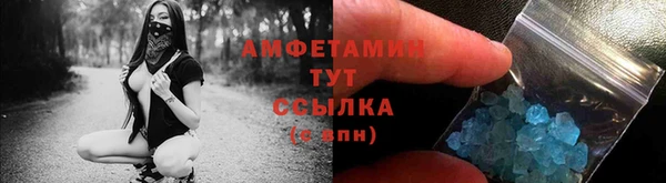 сатива Арсеньев