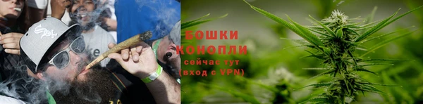 spice Армянск