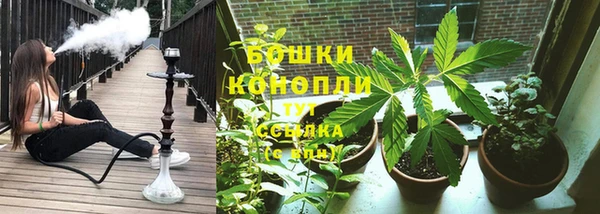 сатива Арсеньев