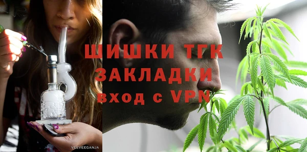 сатива Арсеньев